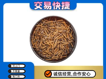 洛南县高价回收散虫草